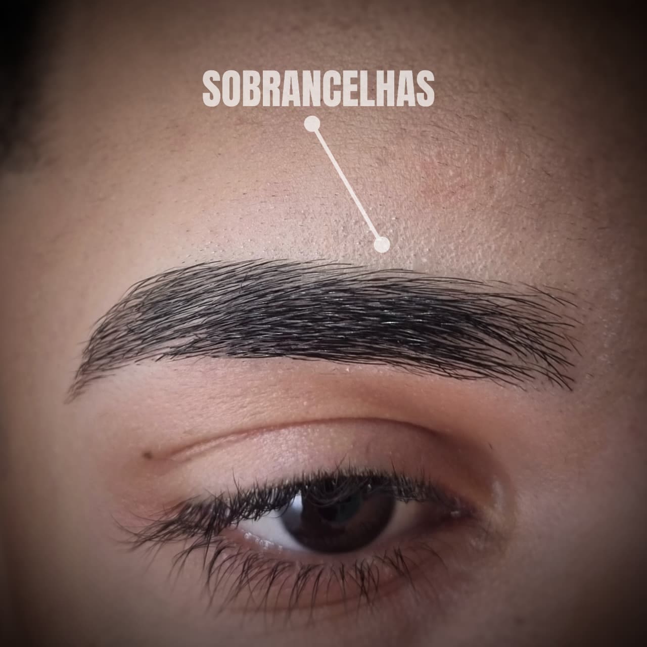 Sobrancelhas 